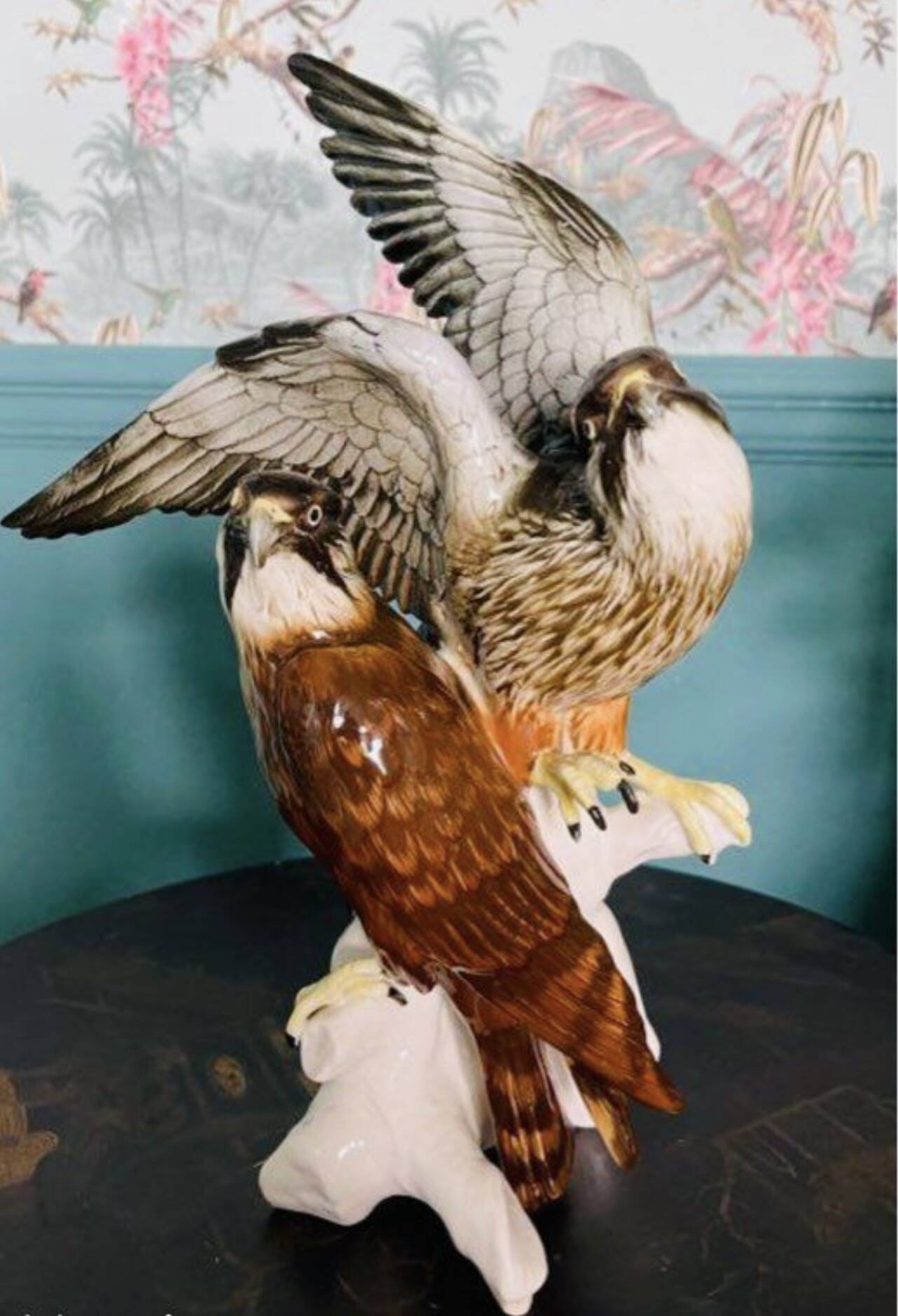 Birds couple of falcons Karl Ens