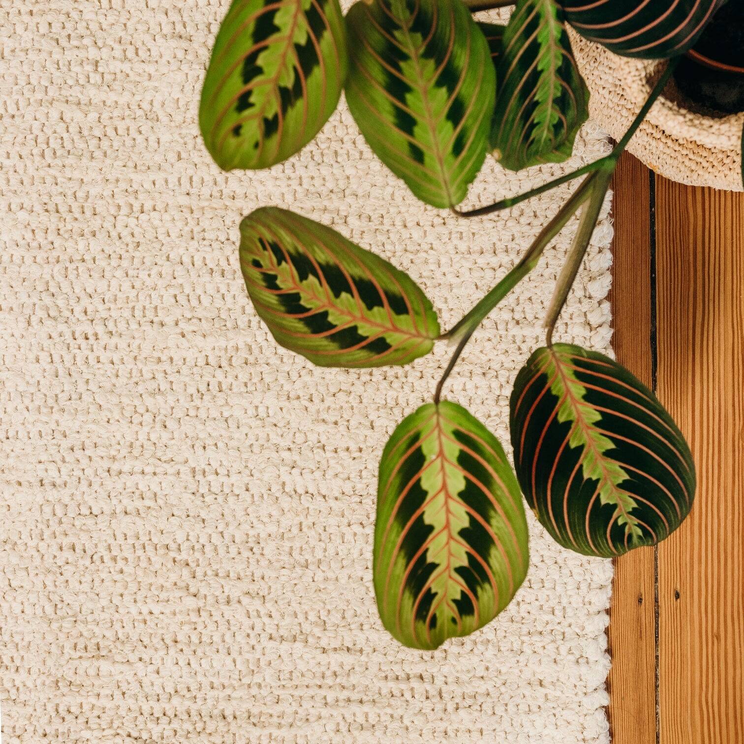 Ecru recycled cotton rug 140 x 70 cm