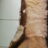 Goat skin