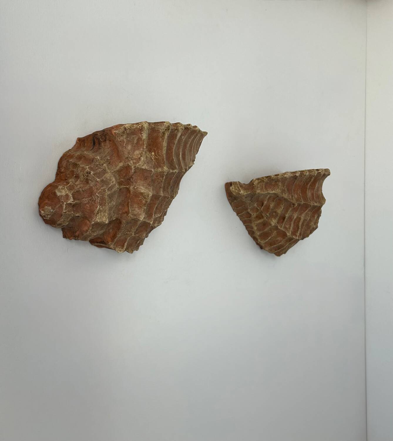 Pair of vintage terracotta shell wall lights