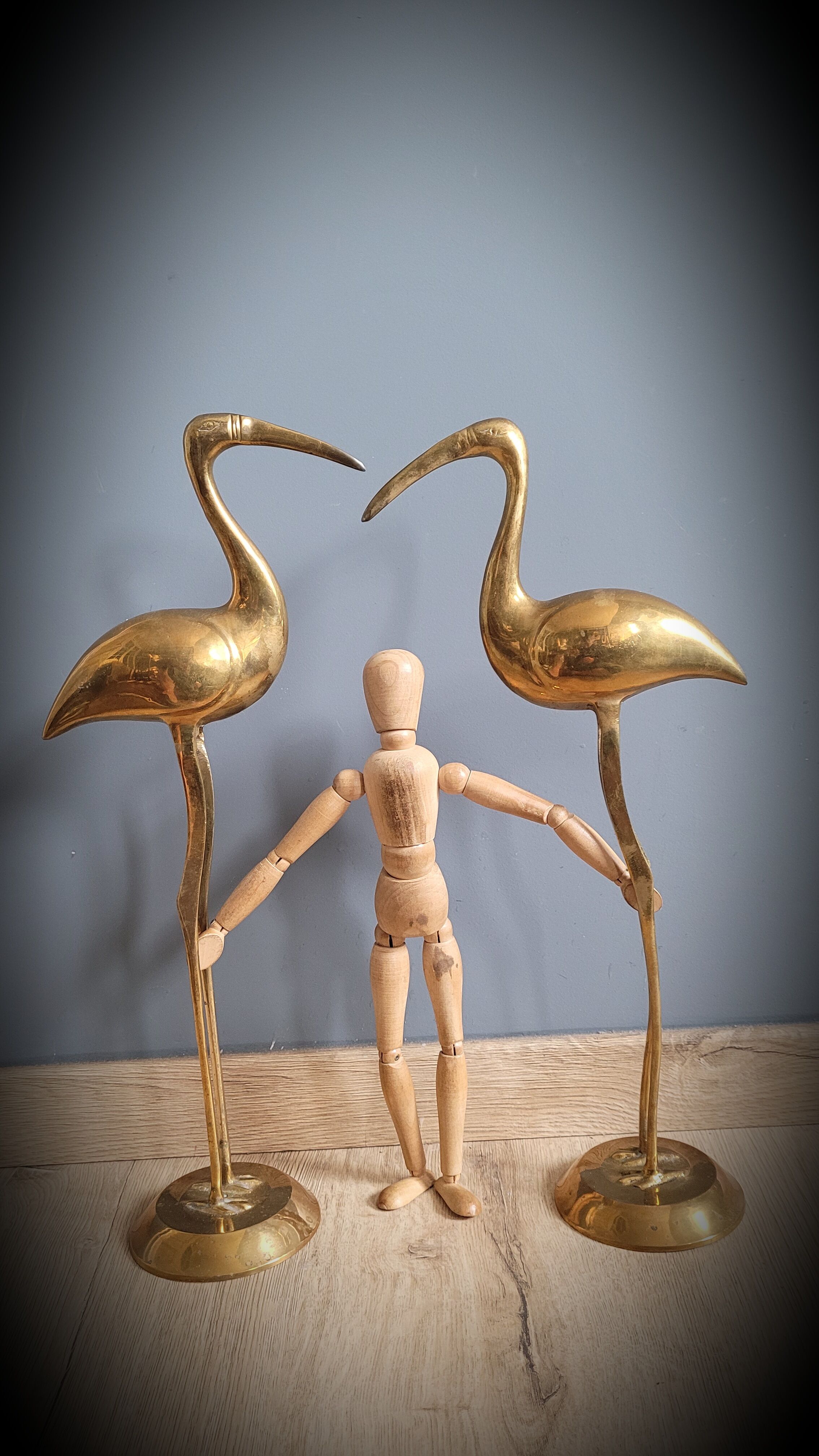 Duo great brass ibis