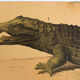Displays educational crocodile 1893