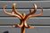 Dark BAUMANN parrot coat rack (A1)