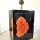 Resin lamp inclusion coral red design 70s