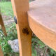 Stella school chairs