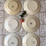 Six flowery old plates in green and blue