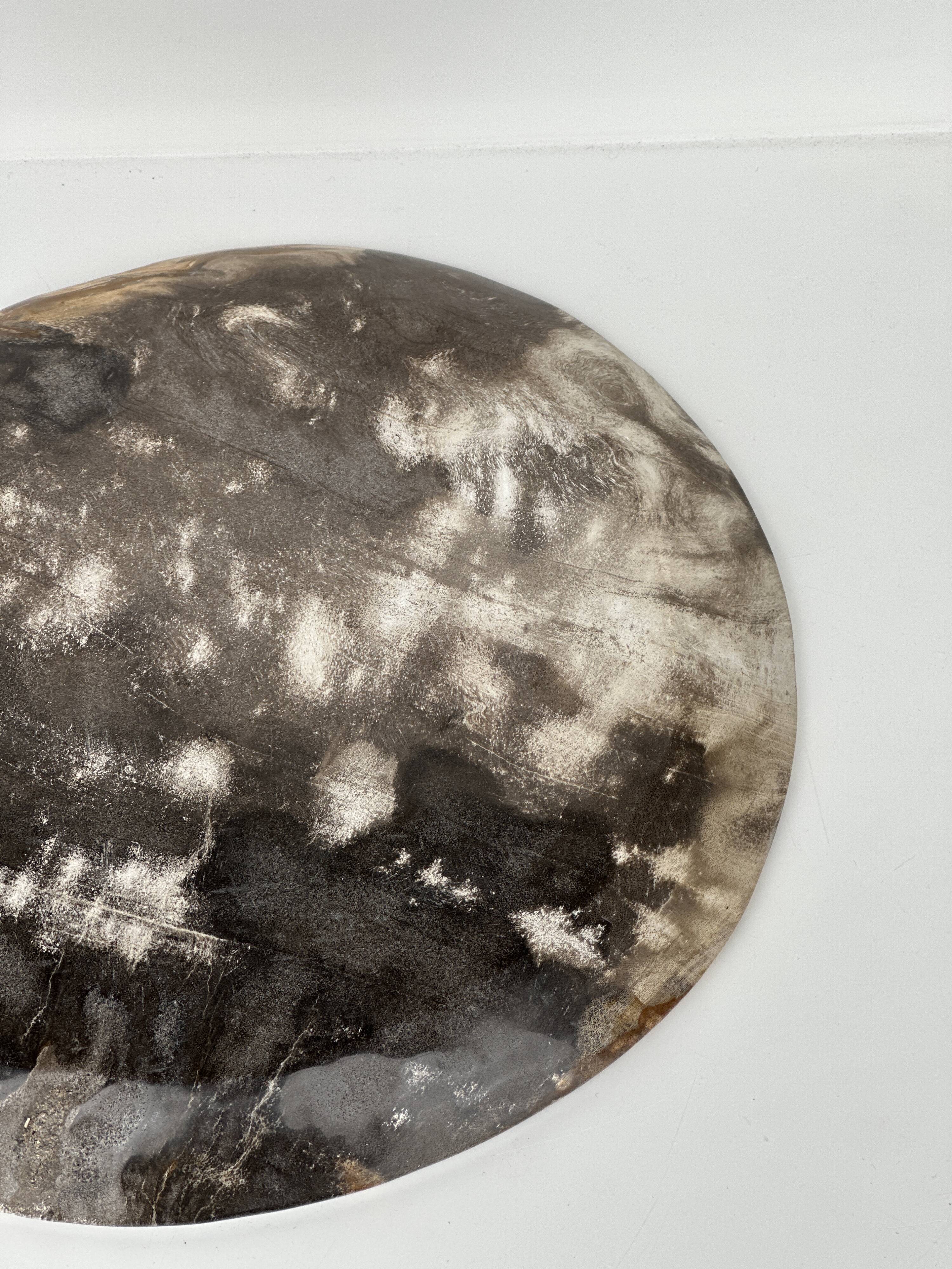 Dish in petrified wood