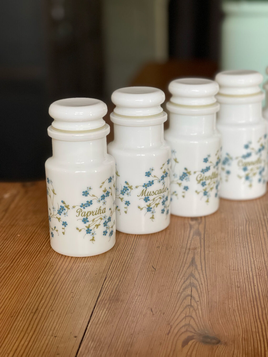 Lot De 5 Ramequins Arcopal – Modèle Myosotis Veronica – Opaline Multicolore