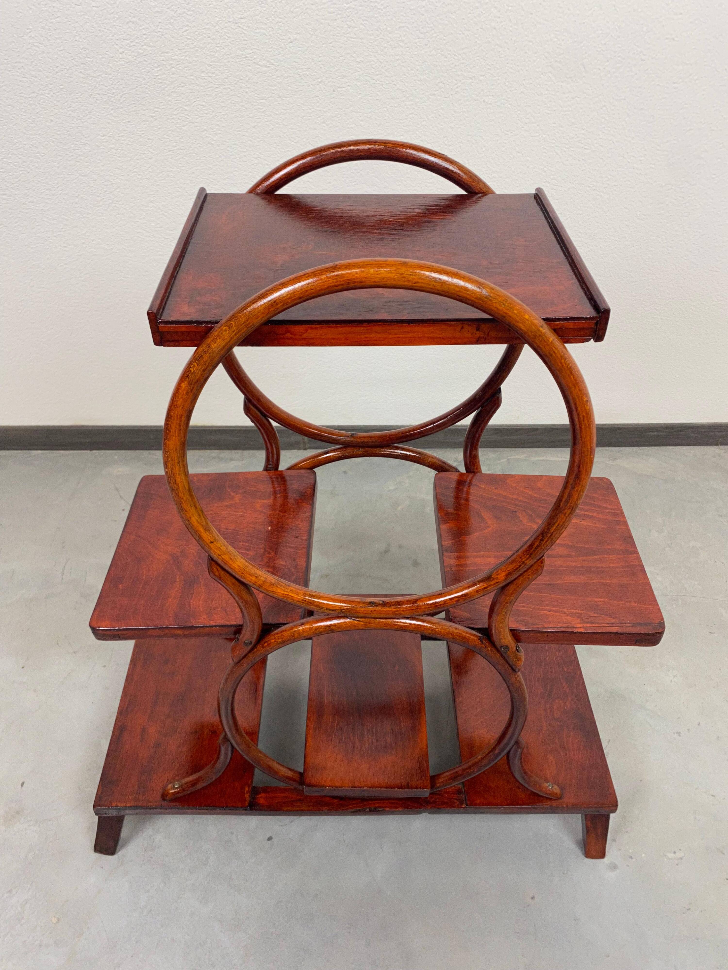 Porte-plante en bois courbé par Thonet