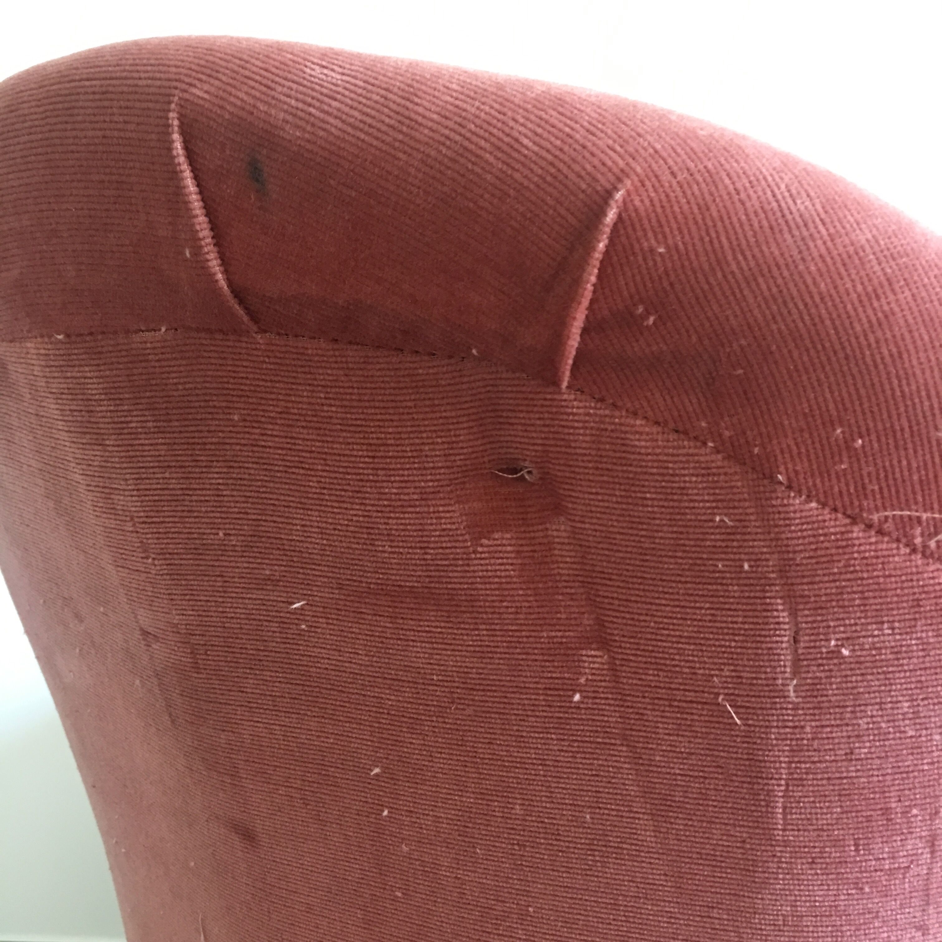 Toad in velvet chair pink