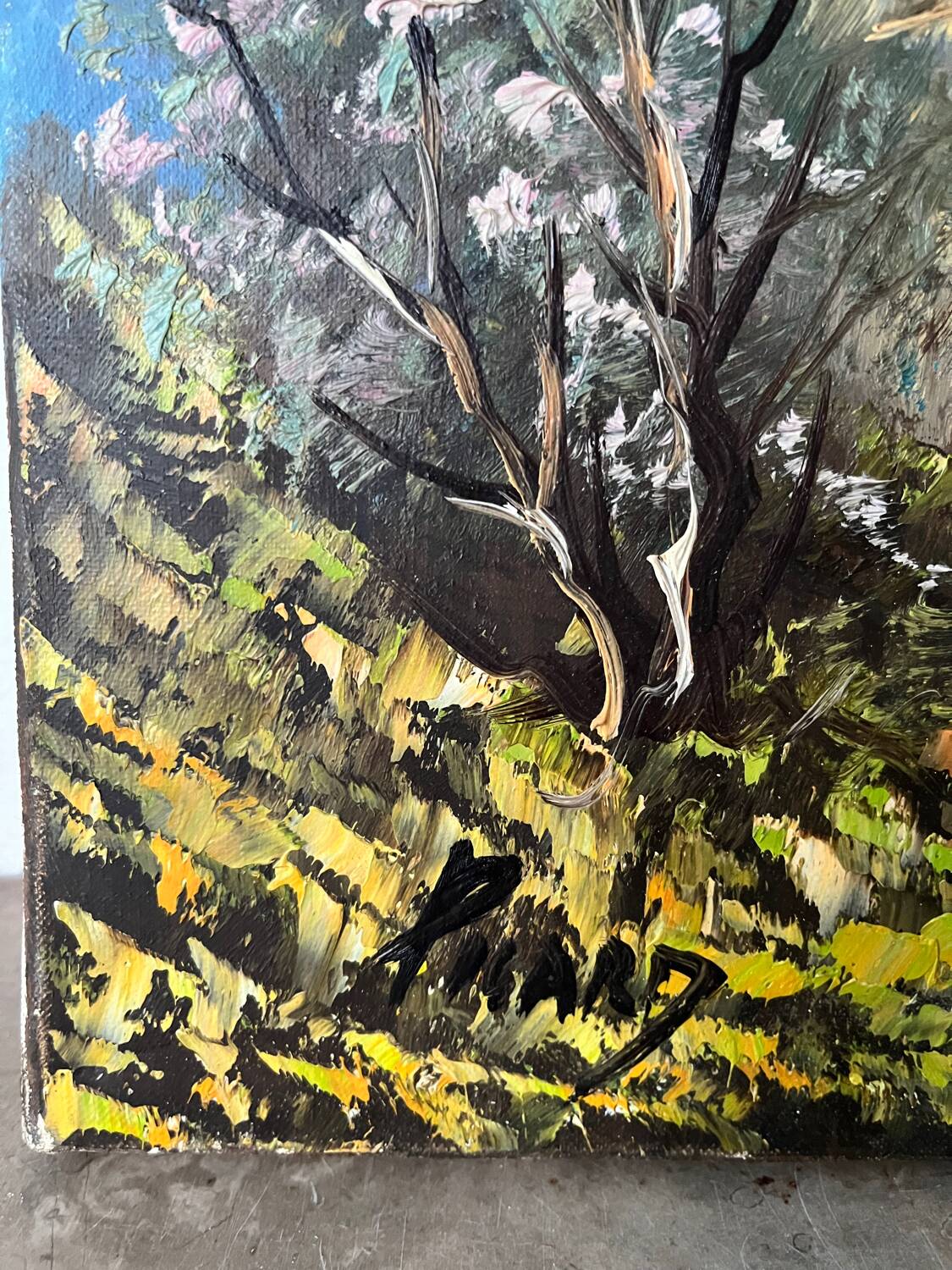 Villa by the seaside in Ramatuelle, oil on canvas signed Picard 1926.