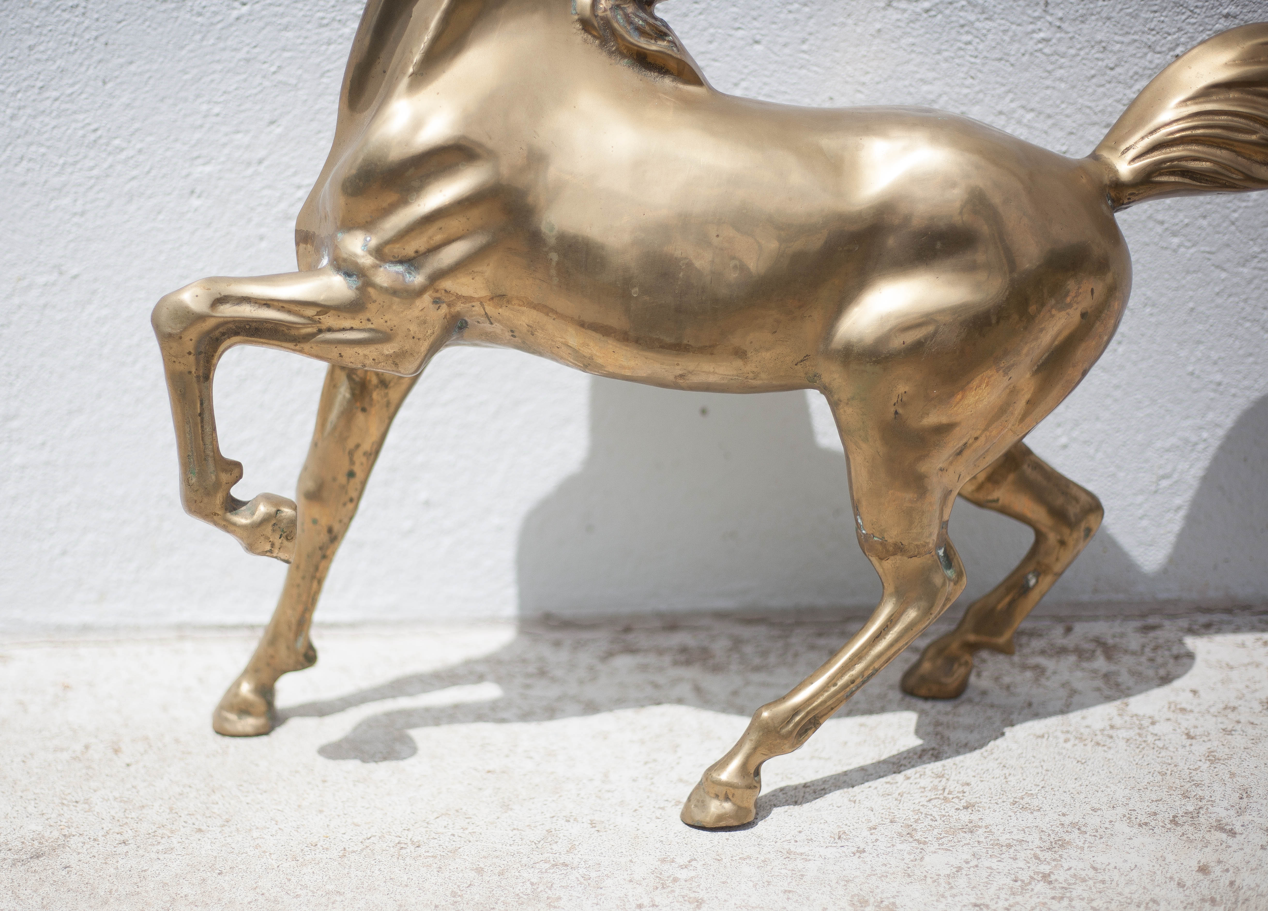 Xl brass horse