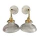 Paire d’appliques murales tulipes holophane