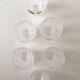 6 bohemian crystal liquor glasses