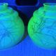 Pair of Art Deco lamp globes (circa 1930) made of blown glass.