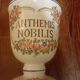 Anthemis nobilis apothecary pot st clement earthenware