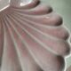 Pearl pink shell