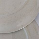 Pair of vintage plates with rusty brown thistle decoration – 1950s