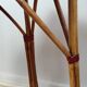 Rattan and cork side table