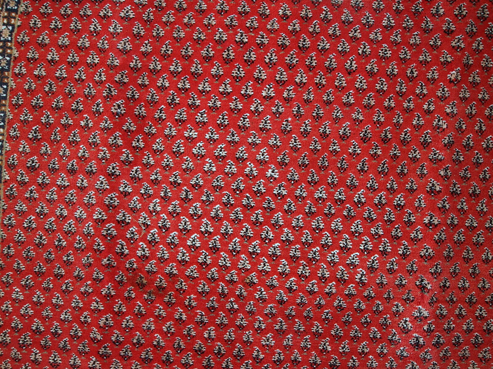Carpet indo seraband done hand 198x298cm 1980