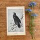 Old engraving of a bird - giacomelli and huyot - le merle -