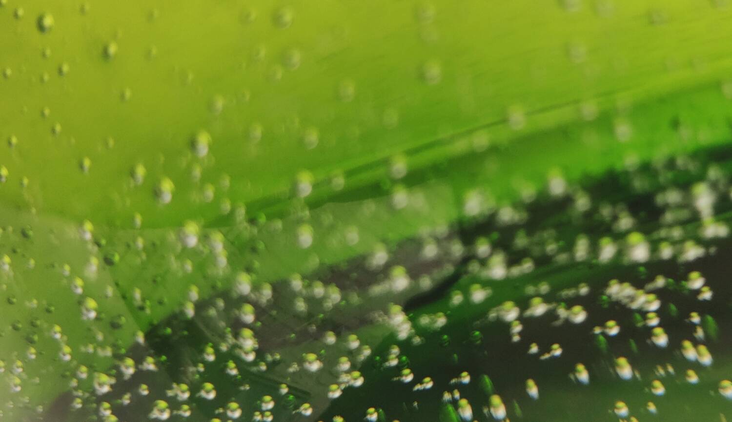 Vintage green bubble glass cylindrical vase - Scandinavian style