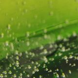 Vintage green bubble glass cylindrical vase - Scandinavian style