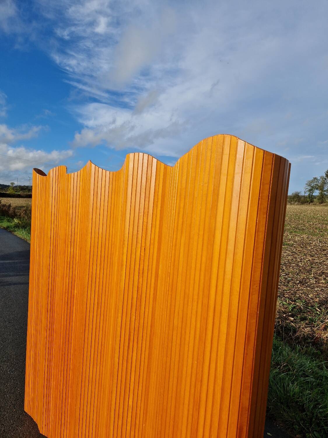 Baumann slat screen