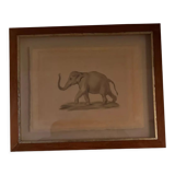 Dessin éléphant encadré dans cadre bois