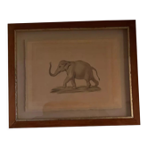 Drawing elephant framed in wooden frame