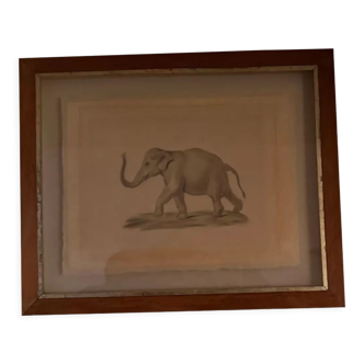 Dessin éléphant encadré dans cadre bois