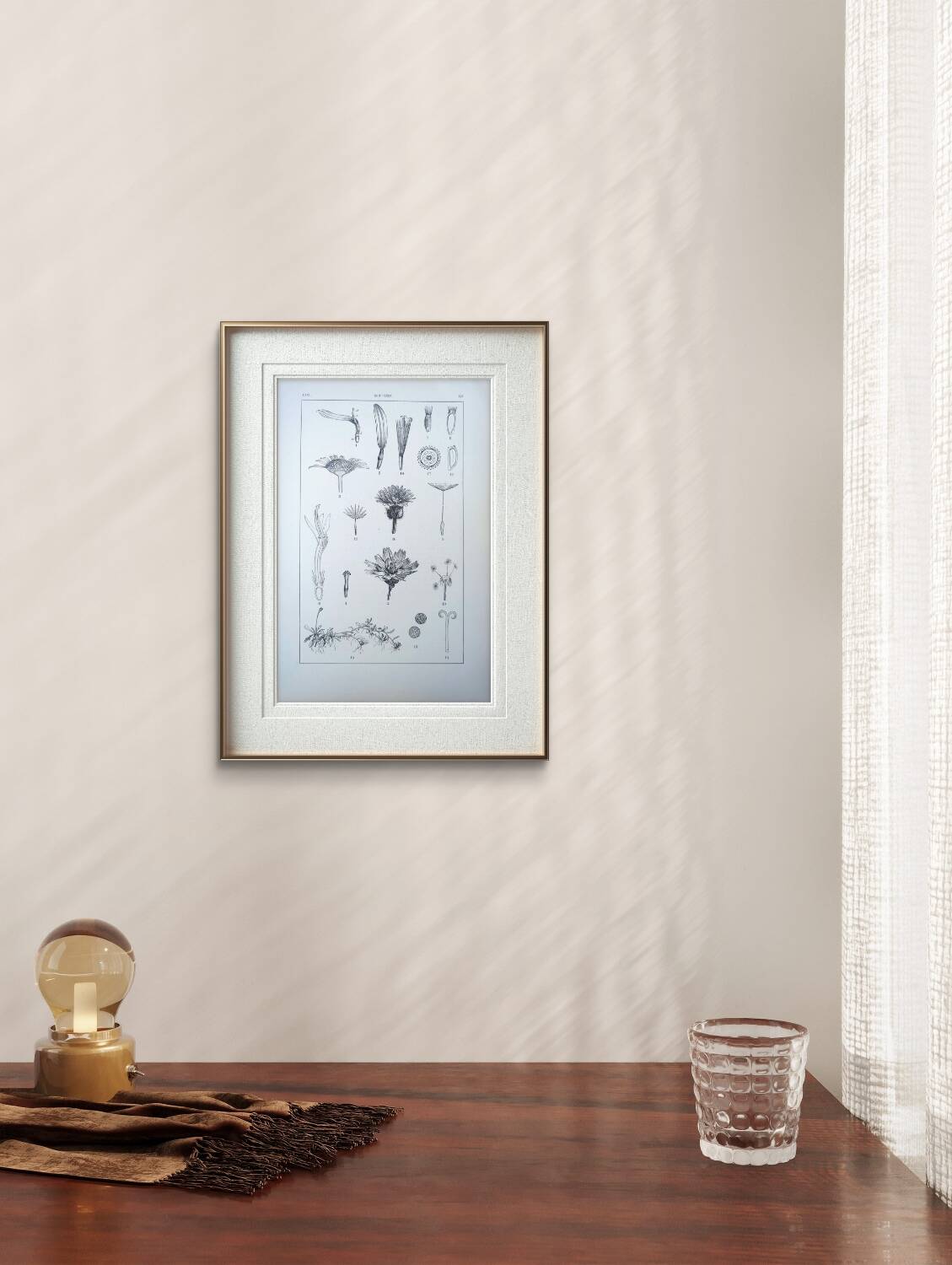 Printed in 1889, the composites. Old botanical plate.