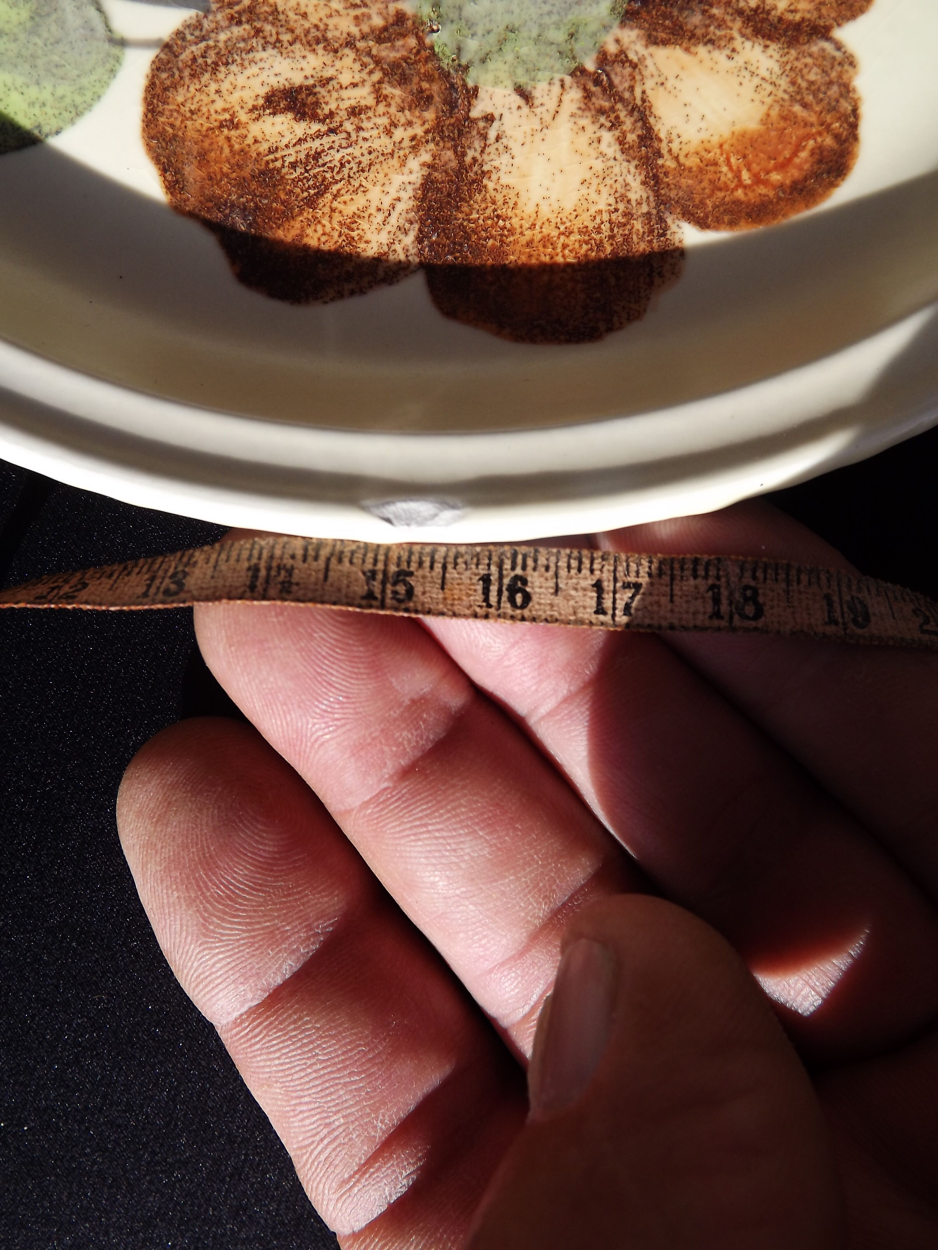 6 dessert plates
