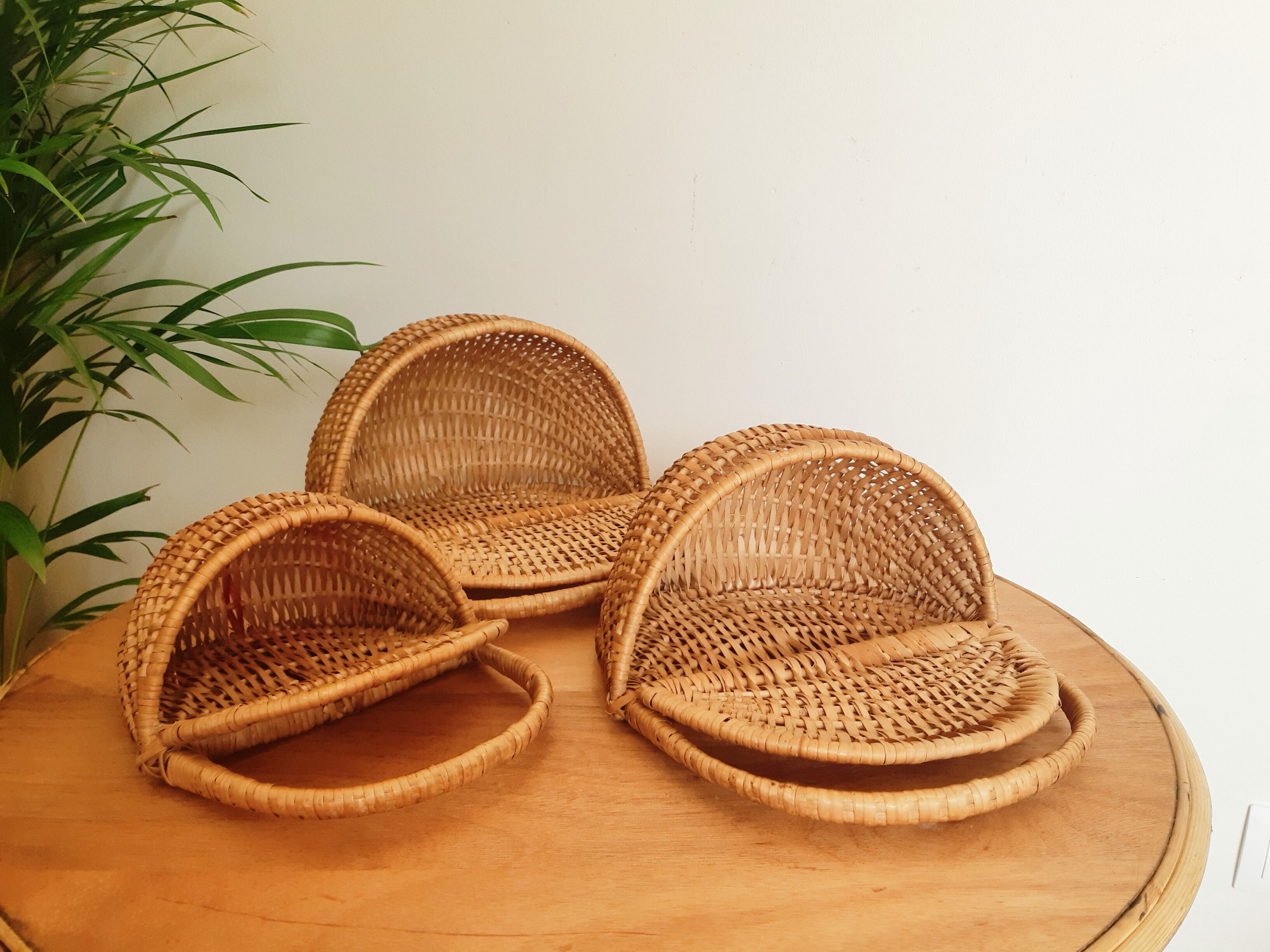 Set of 3 rattan baskets, with lid