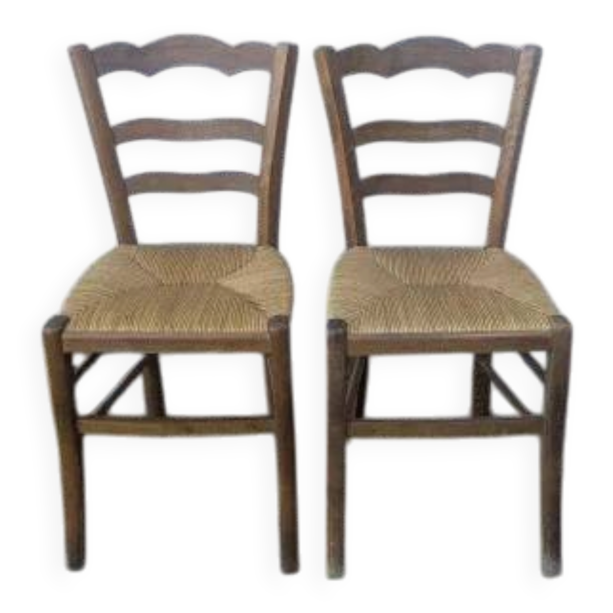 Pair of rush-seated chairs