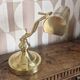 Brass notary or banker's lamp