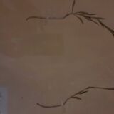 19th herbarium plank