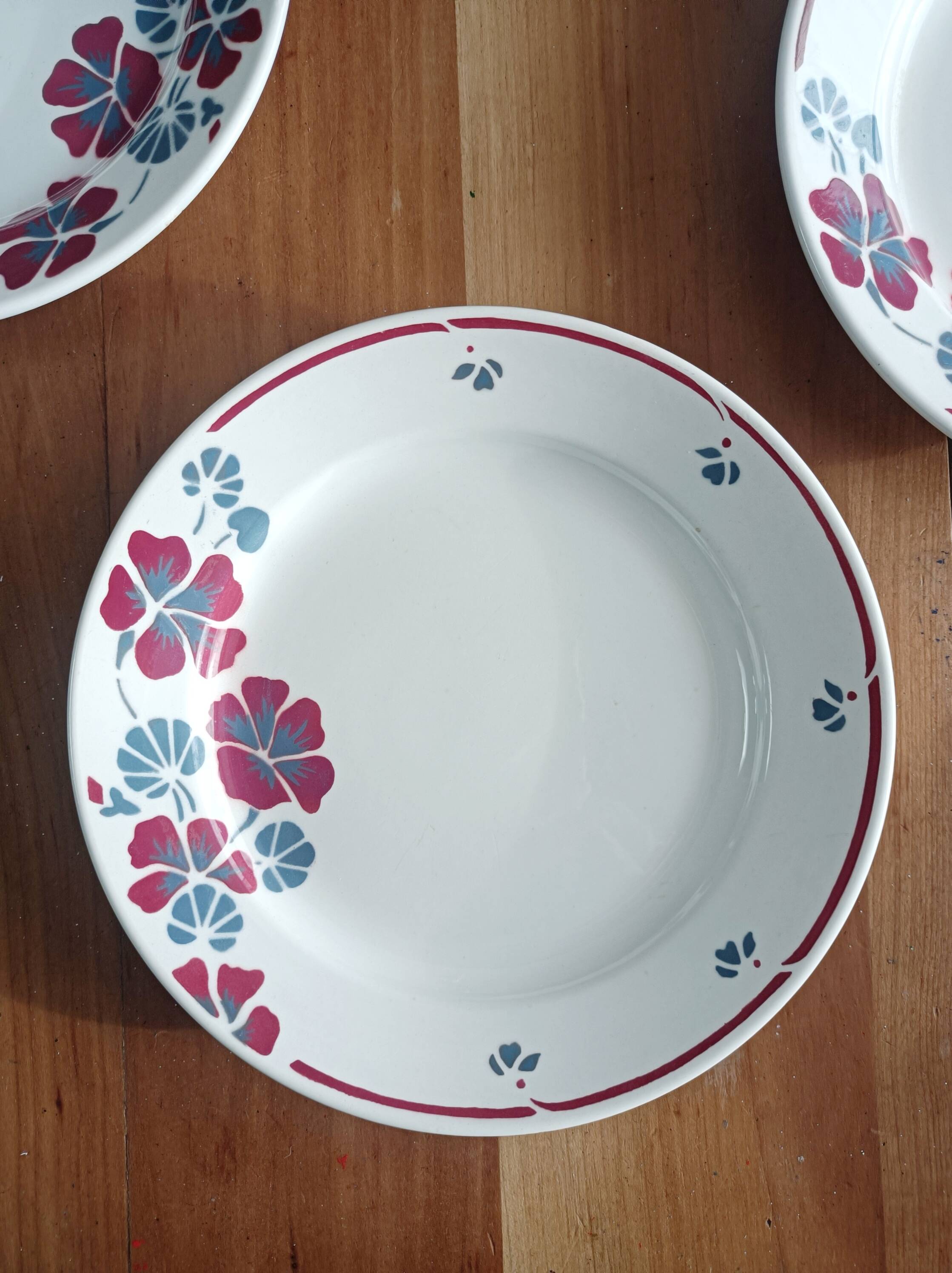 Set of 12 earthenware plates Salins, Nelly red