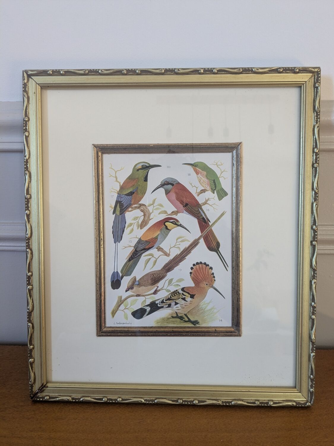 Lithographic frame of birds