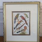 Lithographic frame of birds
