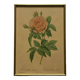 Old pink lithograph framed under glass Remond printing house ACC-7058