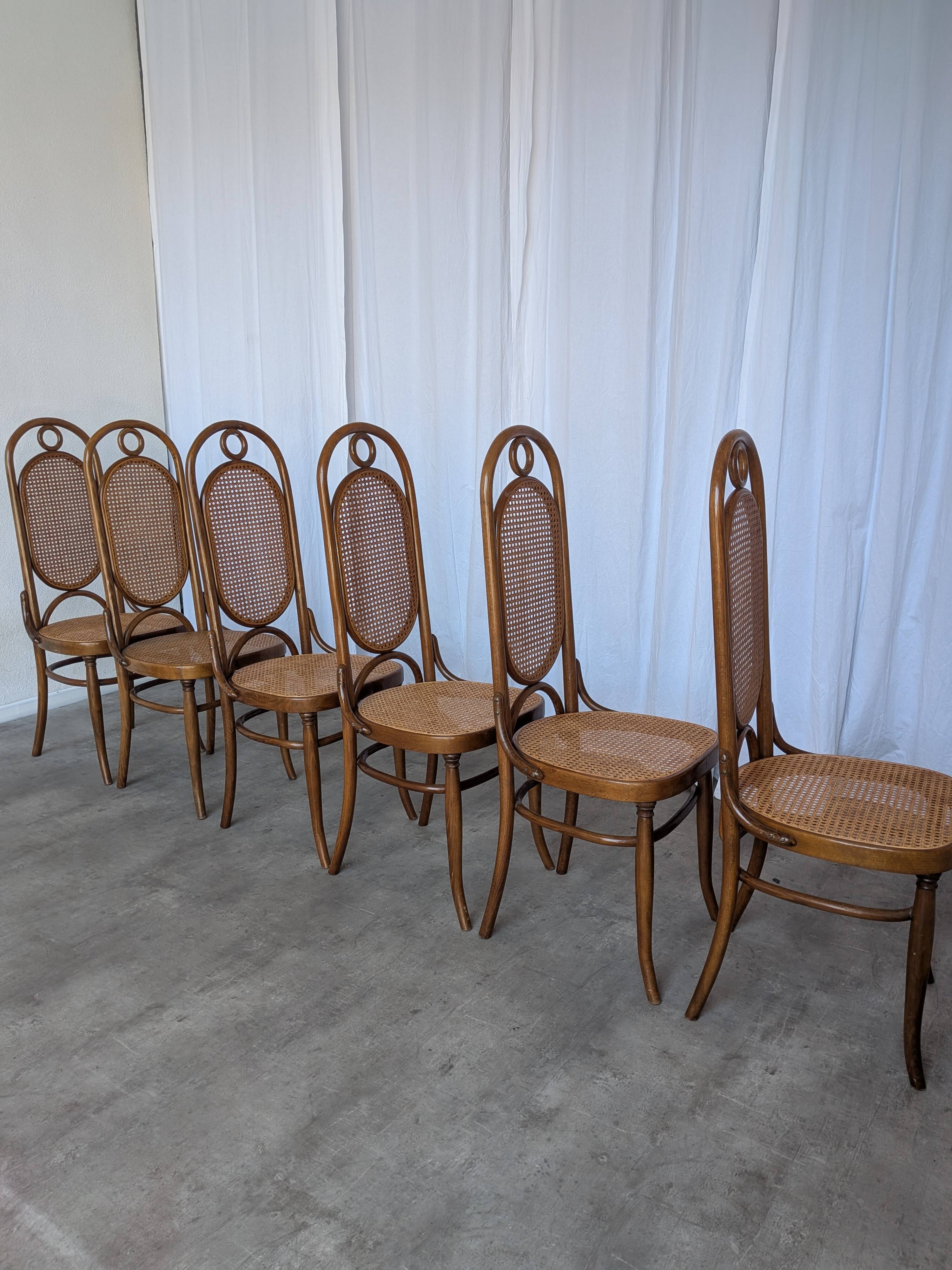 Set of 6 Mid-century Bentwood Cane Dining Chair, Thonet Style, 1970s Yugosl