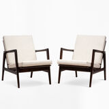 Paire de fauteuils stefan type 300-139