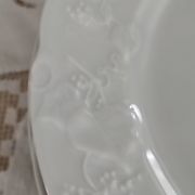 Set of 12 dessert plates in white porcelain marli in relief Wild Ivy