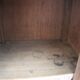Louis Philippe period bedside or extra furniture in dark oak.