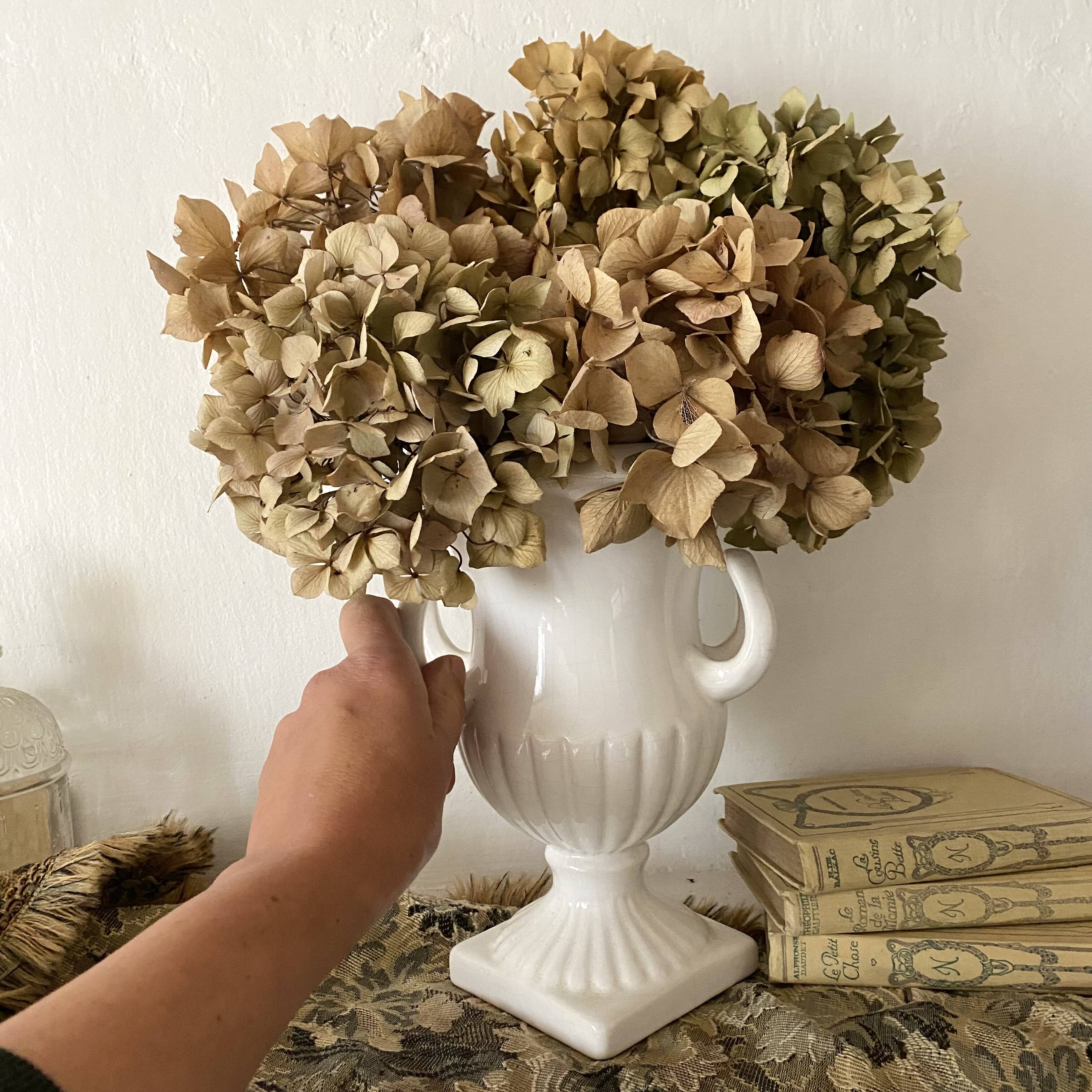 Cache pot , vase amphore en céramique