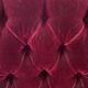 Louis XV armchair in gilded wood and garnet red velvet
