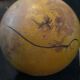 Boxwood bilboquet "ball of 17.0 cm in diameter" - 50s