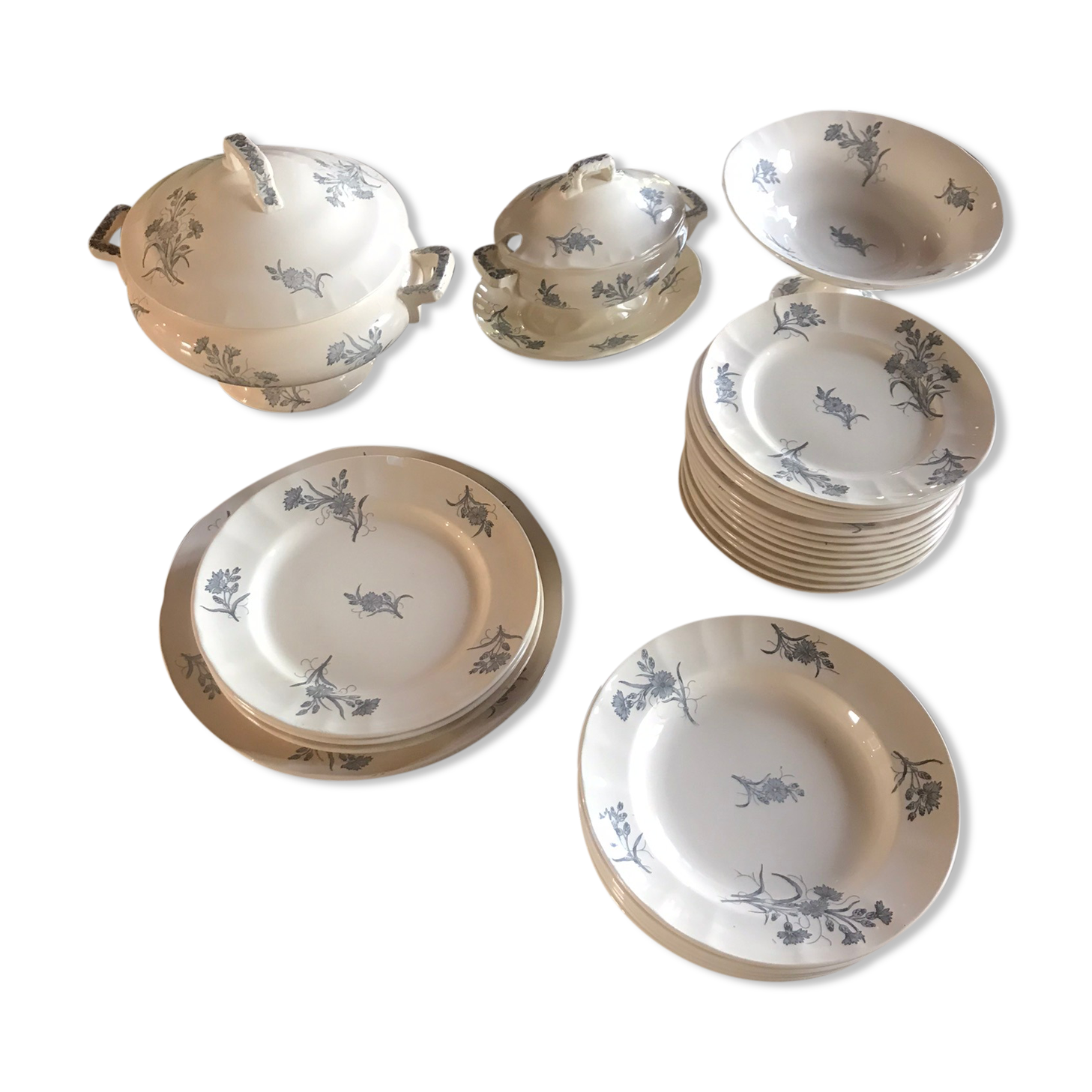 Lot de terre de fer Longchamp modèle Bluets