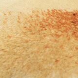 Designer Rug 1970's Pure Wool Velvet, "Amazone" Belgium, 2m x 2.90m, TBE